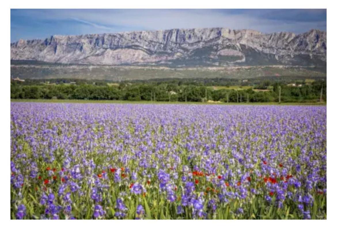 Aix-En-Provence, Cosy Studio Proche Toutes Commodites, Linges Fournis المظهر الخارجي الصورة